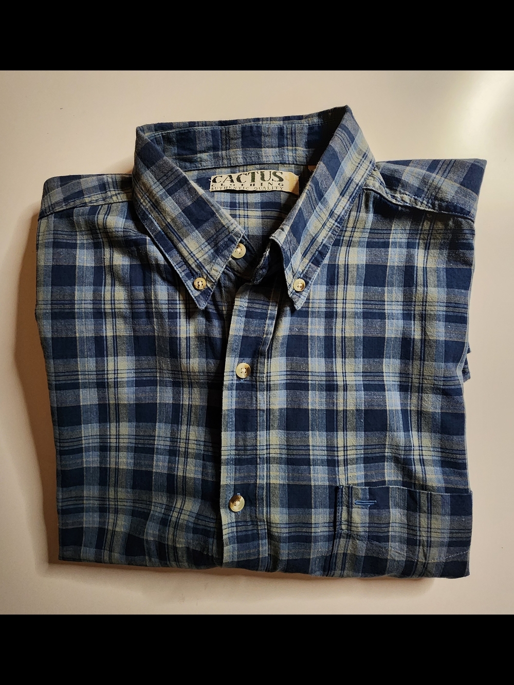 Cactus Men’s Blue Plaid Button-Down Shirt